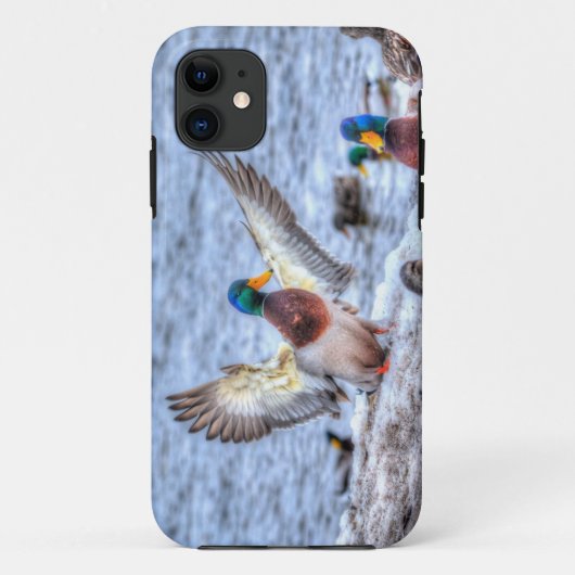 Landing Mallard Duck Drake 5 Wildlife Foto Case-Mate iPhone Case (Achterkant)