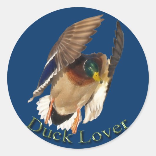 Landing Mallard Duck Drake Bird Wildlife Sticker (Voorkant)