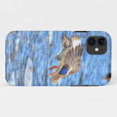 Landing Mallard Duck Wildlife Foto Case-Mate iPhone Case (Achterkant (horizontaal))