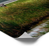 Landing van Space Shuttle Endeavor (STS-108) Poster (Hoek)