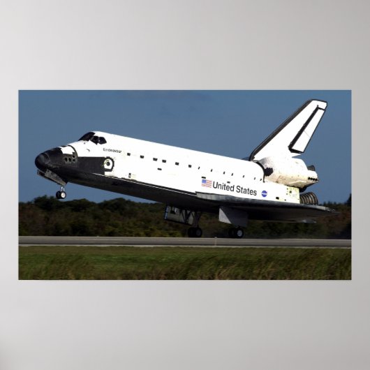 Landing van Space Shuttle Endeavor (STS-113) Poster (Voorkant)