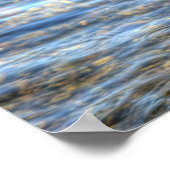 Landingsfoto Mallard Duck Drake II Wildlife Poster (Hoek)