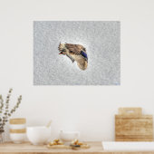 Landingsfoto Mallard Duck Wildlife Poster (Keuken)