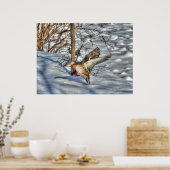 Landingsfoto Mallard Duck Wildlife Poster (Keuken)
