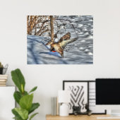 Landingsfoto Mallard Duck Wildlife Poster (Thuiskantoor)