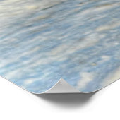 Landingsfoto Mallard Duck Wildlife Poster (Hoek)