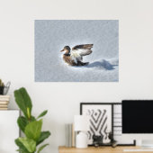 Landingsfoto Mallard Duck Wildlife Poster (Thuiskantoor)