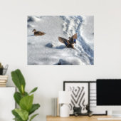 Landingsfoto Mallard Duck Wildlife Poster (Thuiskantoor)
