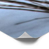 Landingsfoto Mallard Duck Wildlife Poster (Hoek)