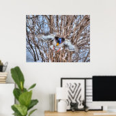 Landingsfoto Mallard Duck Wildlife Poster (Thuiskantoor)