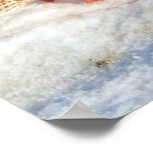 Landingsfoto Mallard Duck Wildlife Poster (Hoek)