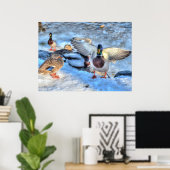 Landingsfoto Mallard Duck Wildlife Poster (Thuiskantoor)