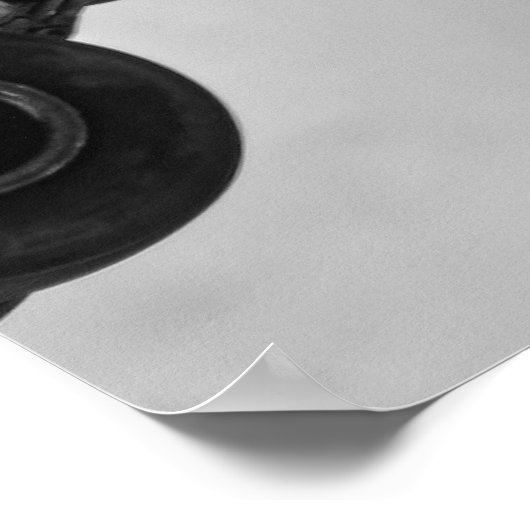 landingsgestel poster (Hoek)