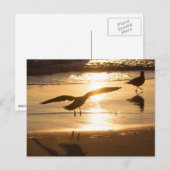 Landingsmethode Briefkaart (Voorkant / Achterkant)