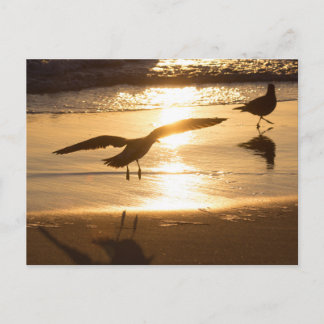 Landingsmethode Briefkaart