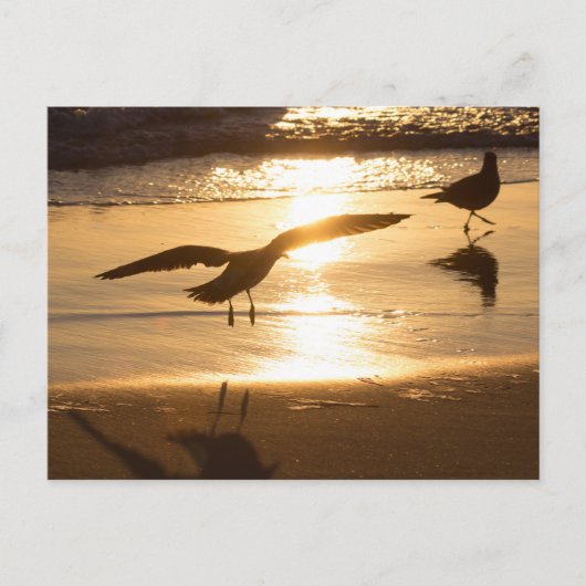 Landingsmethode Briefkaart (Voorkant)