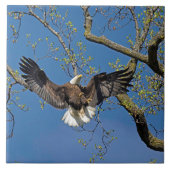 Landingsmethode Tegeltje (Voorkant)