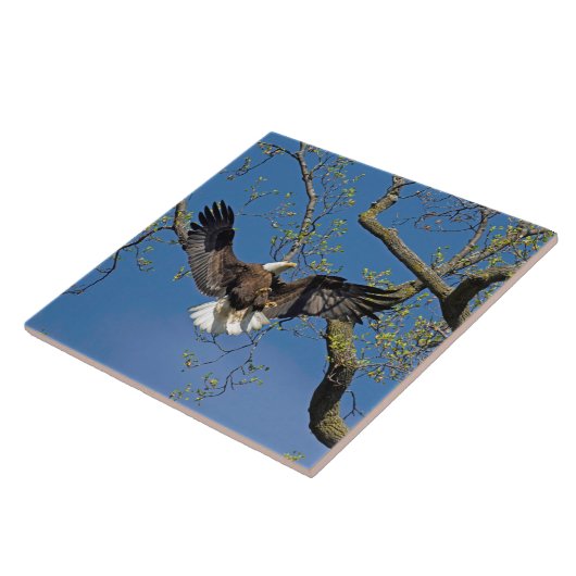 Landingsmethode Tegeltje (Zijkant)