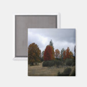 Landkleuren..... Magneet (Voorkant / Achterkant)