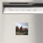 Landkleuren..... Magneet (Insitu (Vaatwasser))