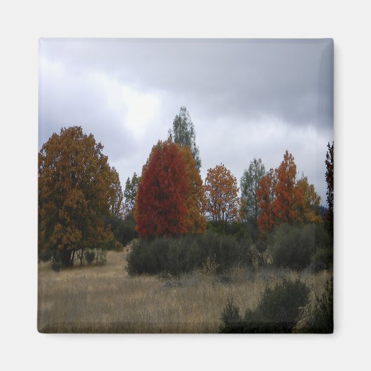 Landkleuren..... Magneet (Voorkant)