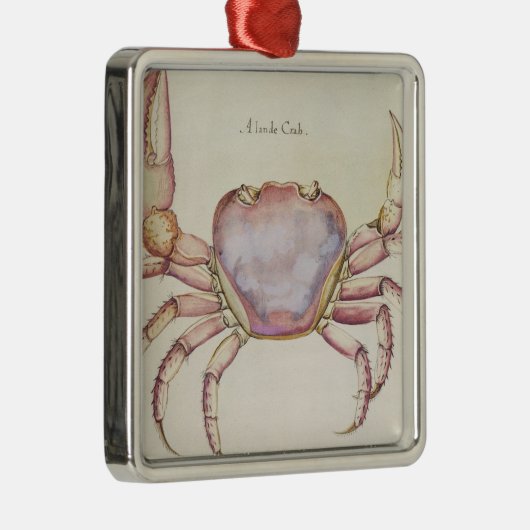 Landkrab Metalen Ornament (Rechts)