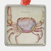 Landkrab Metalen Ornament (Voorkant)