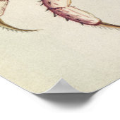 Landkrab Poster (Hoek)