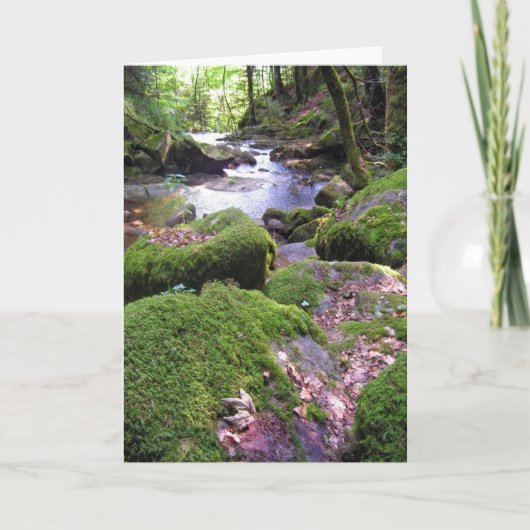 Landkreek Kaart (Voorkant)