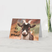 Landkreis Goat Cute Funny Kaart (Voorkant)