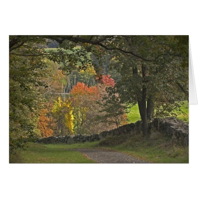 Landlandlaan (Voorkant Horizontaal)