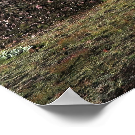 Landmannalaugar Poster (Hoek)