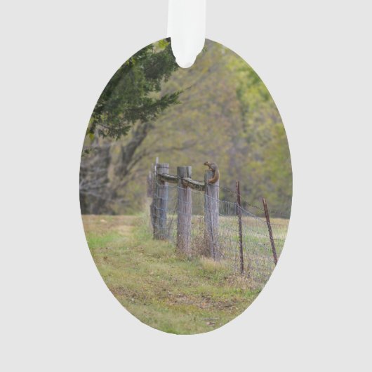 Landomheining en eekhoorn ornament (achterkant)
