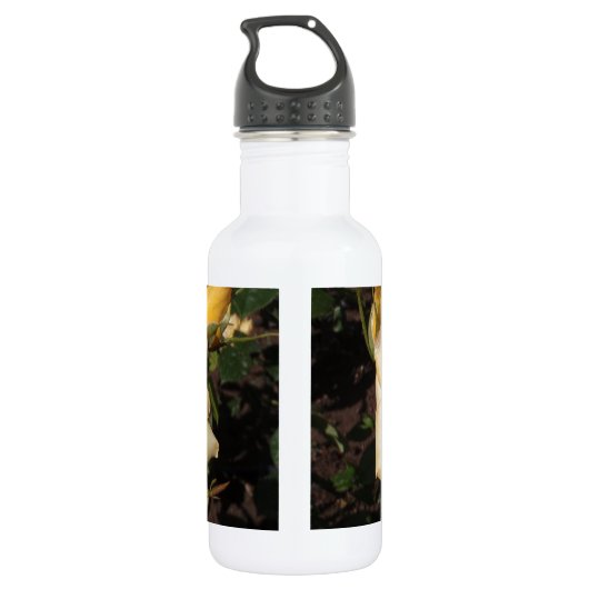 Landora Waterfles (Achterkant)
