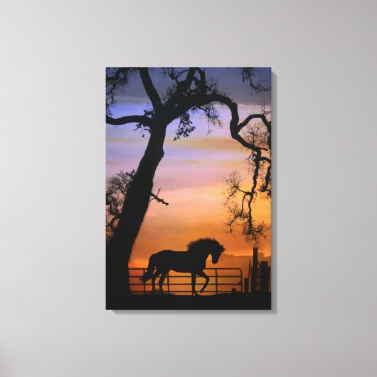 landpaard in een zuidwestelijke zonsopgang canvas afdruk (Voorkant)