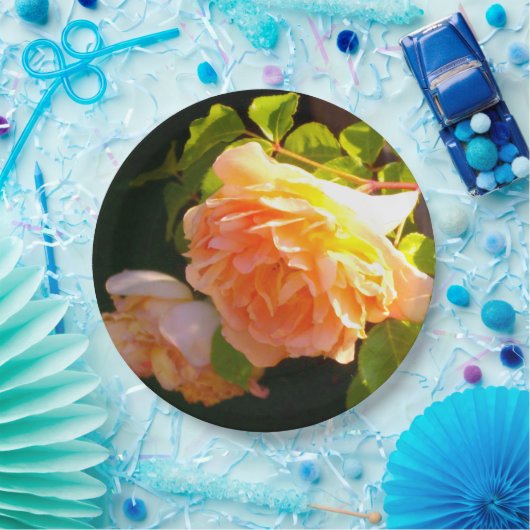 Landpergele rozen papieren bordje (Feest)