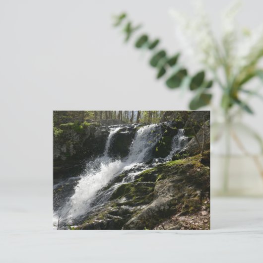 Lands Run Falls Briefkaart (Staand voorkant)