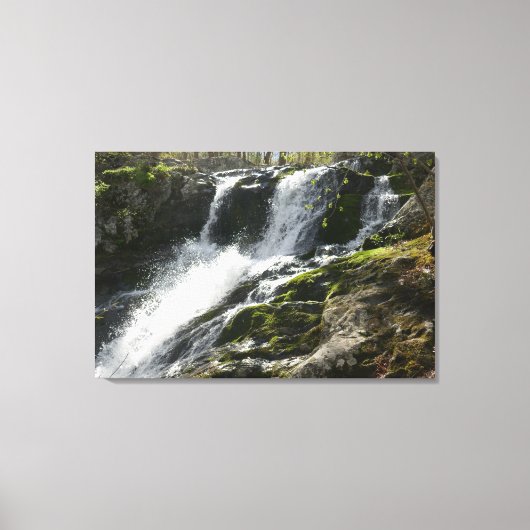 Lands Run Falls Canvas Afdruk (Voorkant)