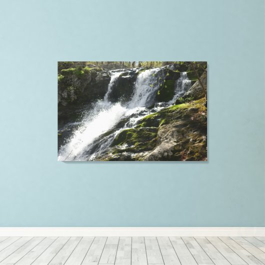 Lands Run Falls Canvas Afdruk (Insitu (Houten vloer))