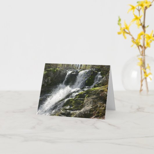 Lands Run Herfsten Kaart (Gele Bloem)