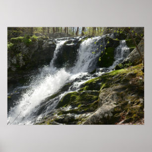 Lands Run Herfsten Poster