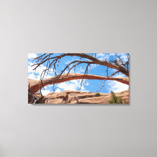 Landscape Arch, Arches National Park, Utah Canvas Afdruk