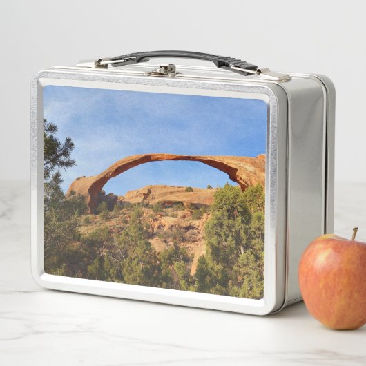 Landscape Arch in Arches National Park (In situ)