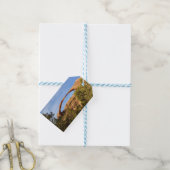 Landscape Arch in Arches National Park Cadeaulabel (Met Touw)