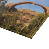 Landscape Arch in Arches National Park Snijplank (Hoek)