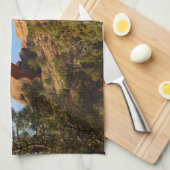 Landscape Arch in Arches National Park Theedoek (Quarter Fold)