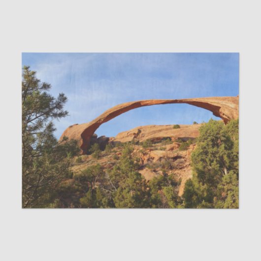 Landscape Arch in Arches National Park Tissuepapier (Voorkant)