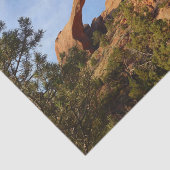 Landscape Arch in Arches National Park Tissuepapier (Detail)