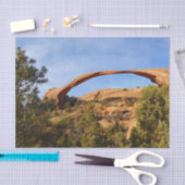 Landscape Arch in Arches National Park Tissuepapier (Craft)