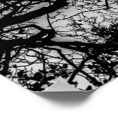 Landscape Black en White Tree Foto Poster (Hoek)